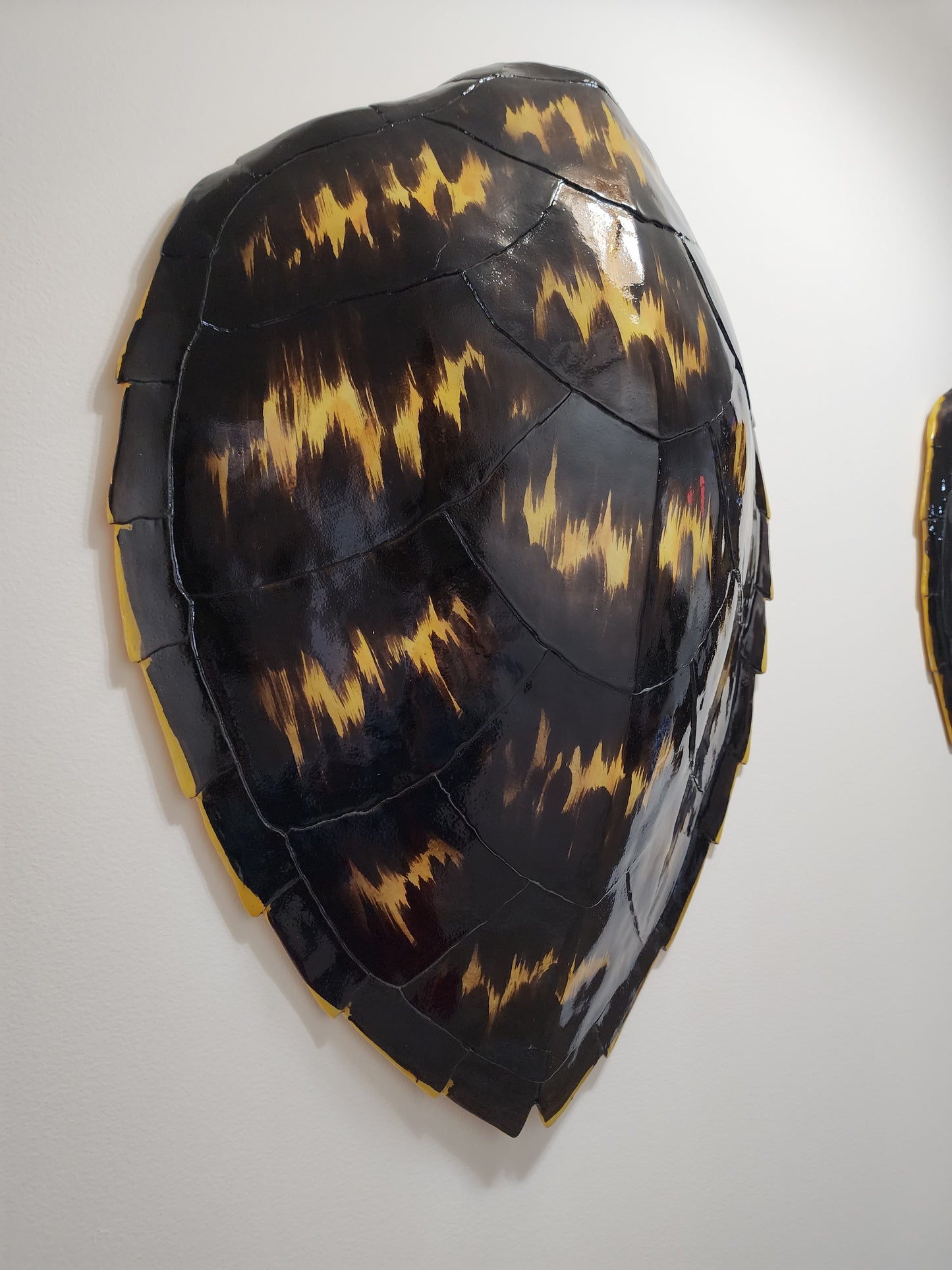 Turtle Shell Wall Decor